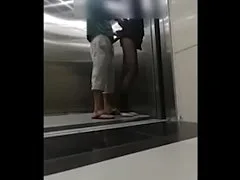 คลิปหลุด ผู้บริการแอบเย็ดหีพนักงานสาวในลีฟ ยืนซอยท่าหมาโดนมือดีแอบถ่ายจนเป็นข่าวเย็ดสาวที่ทำงาน  ของ